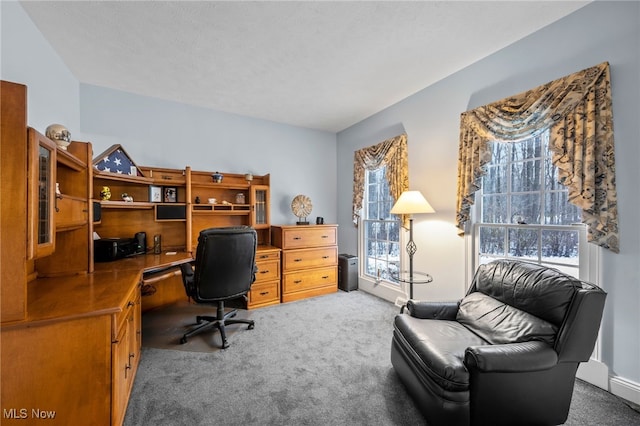 office space featuring light colored carpet and a textured ceiling