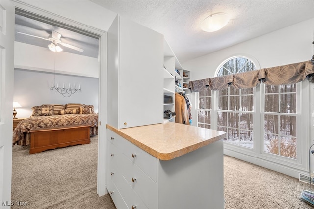 spacious closet featuring light carpet and ceiling fan