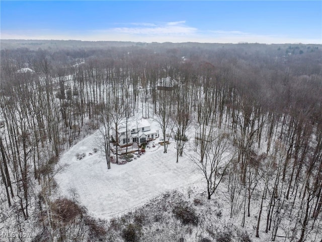 view of snowy aerial view