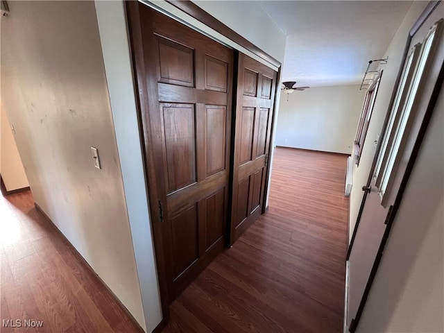 corridor with dark wood-type flooring