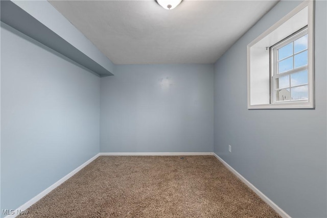 bonus room featuring carpet flooring