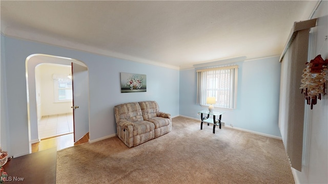 sitting room with light colored carpet and crown molding