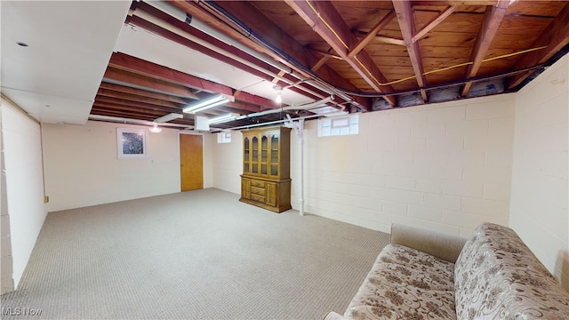 basement with carpet