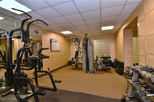 exercise room featuring carpet flooring and a drop ceiling