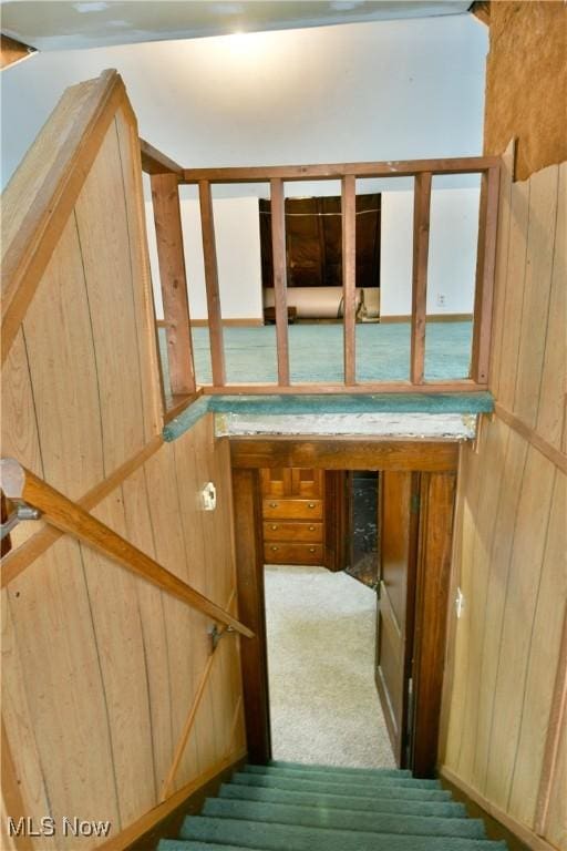 stairs featuring carpet flooring and wooden walls