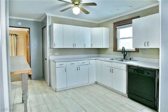 kitchen with ceiling fan, crown molding, sink, dishwasher, and white cabinetry