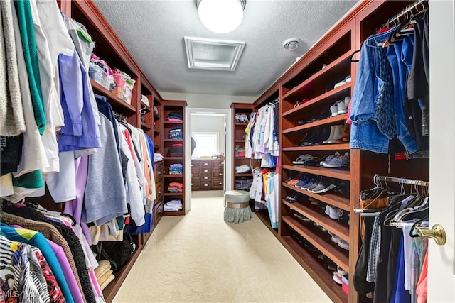 spacious closet featuring carpet