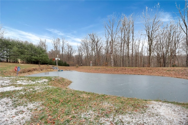 view of water feature