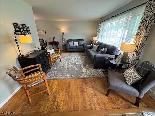 living room with hardwood / wood-style floors