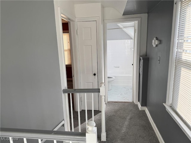 hallway with carpet floors