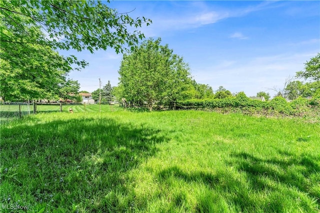 view of yard featuring a rural view