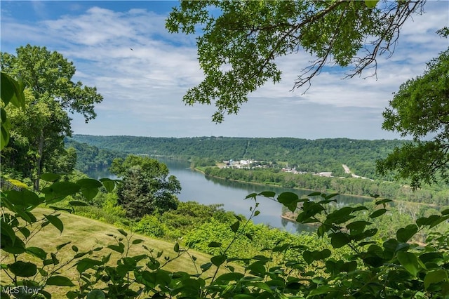 3505 Riverview Dr, Weirton, WV 26062 - photo 35