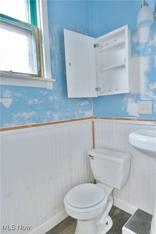 bathroom with wainscoting, wood finished floors, and toilet