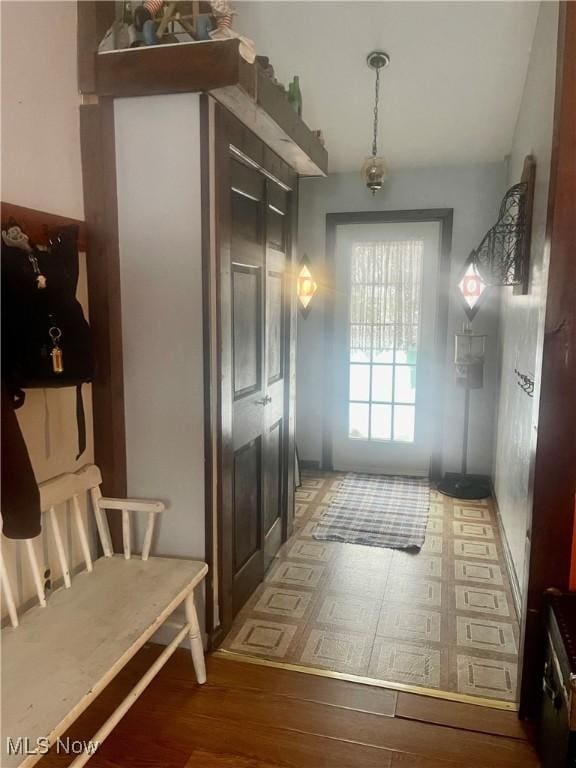 mudroom featuring wood-type flooring