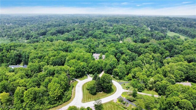 8682 Chase Dr, Chagrin Falls, OH 44023 - photo 35