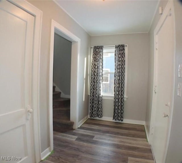 interior space with dark hardwood / wood-style flooring