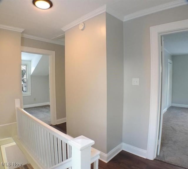 corridor featuring dark wood-type flooring and ornamental molding