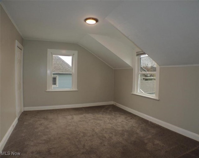 additional living space with dark colored carpet and lofted ceiling