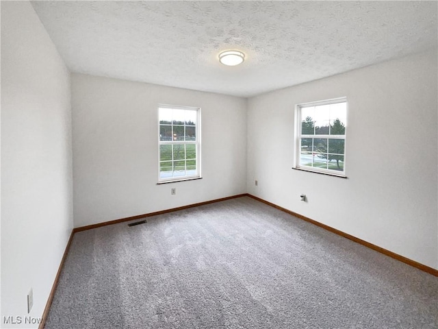 carpeted spare room with a textured ceiling and a wealth of natural light