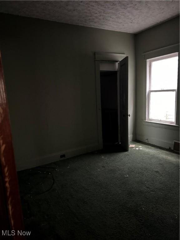 empty room featuring carpet and a textured ceiling