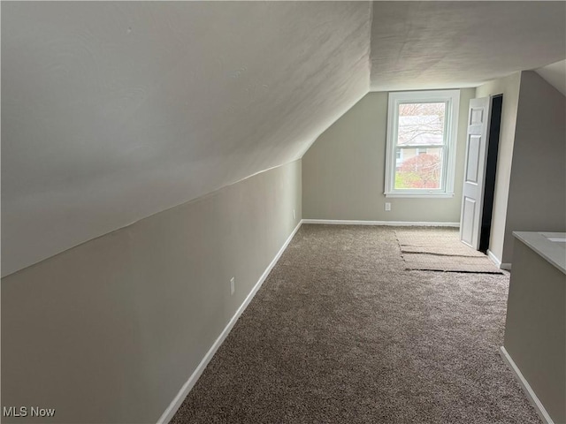 additional living space featuring carpet and lofted ceiling