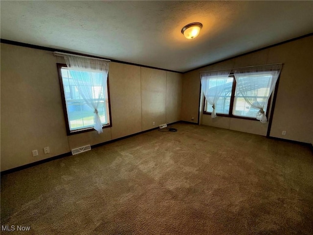 spare room featuring a textured ceiling, lofted ceiling, light carpet, and ornamental molding