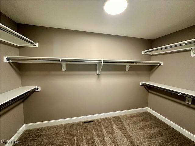 walk in closet featuring carpet