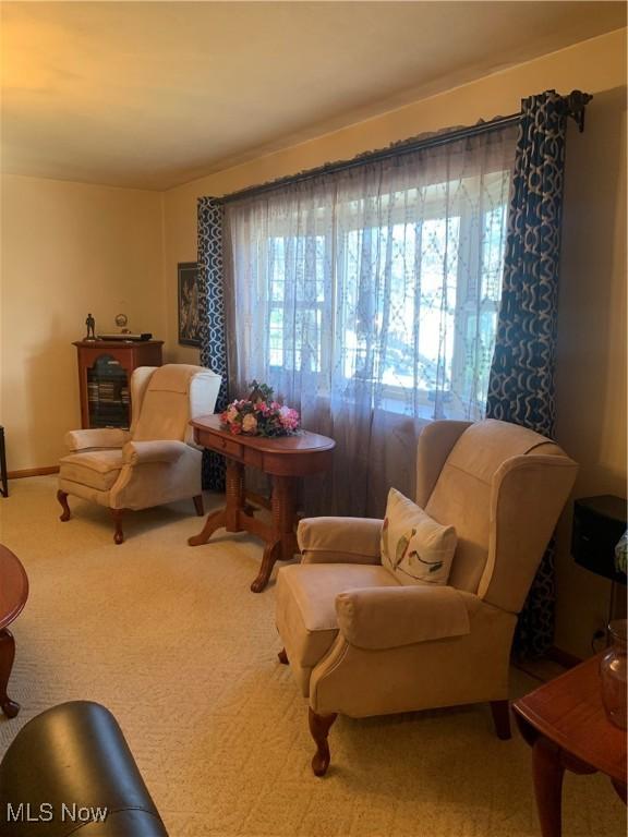 sitting room with carpet