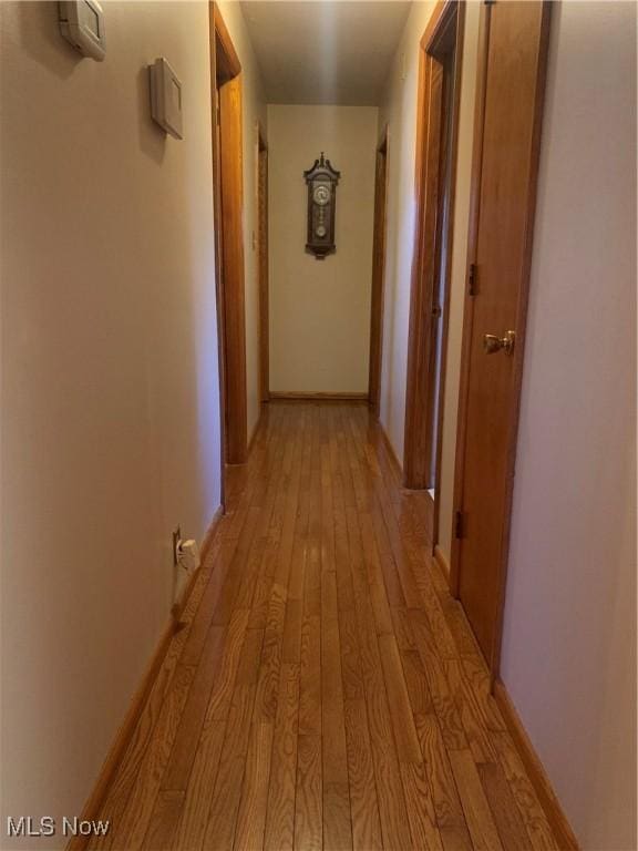 hallway featuring light hardwood / wood-style flooring