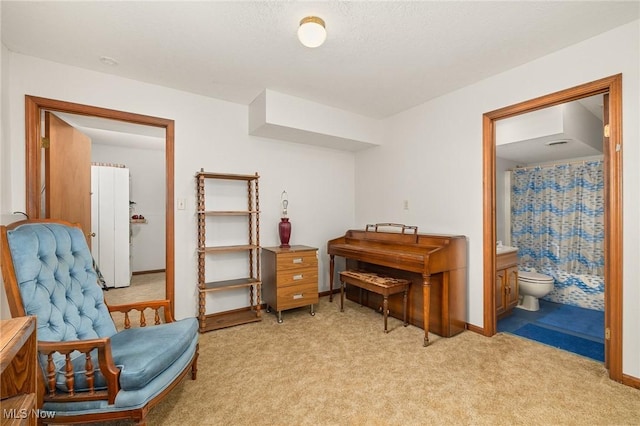 living area with light colored carpet