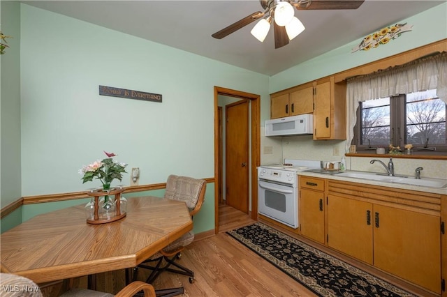 kitchen featuring ceiling fan, sink, light hardwood / wood-style flooring, and range