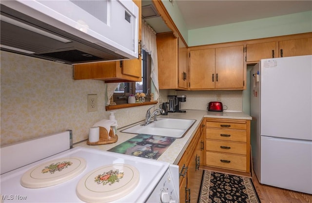 kitchen featuring white appliances, light hardwood / wood-style flooring, extractor fan, and sink