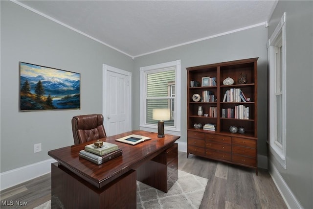 office space featuring hardwood / wood-style floors and crown molding