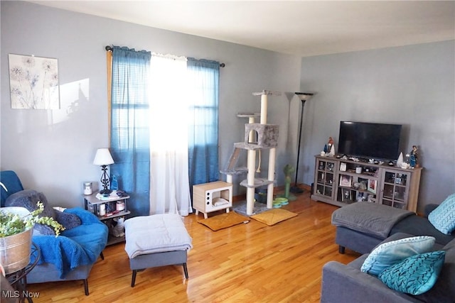 living room with wood-type flooring