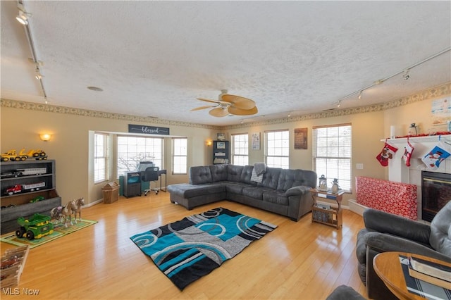 living room featuring hardwood / wood-style floors, a textured ceiling, rail lighting, and ceiling fan