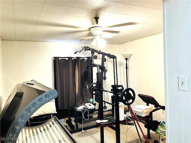 workout area featuring carpet and ceiling fan