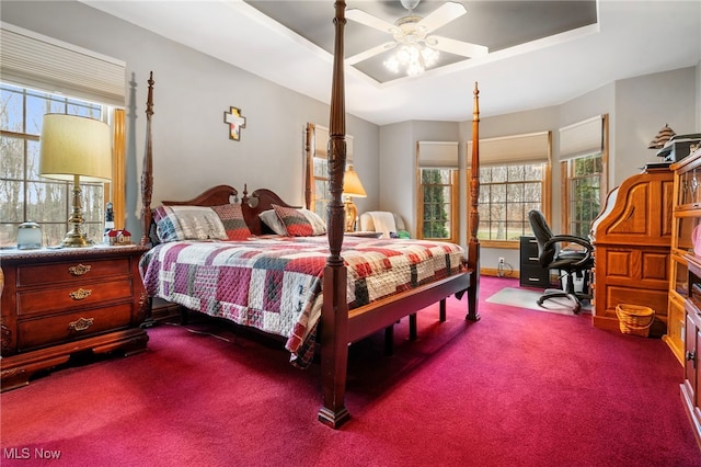 carpeted bedroom featuring ceiling fan, a raised ceiling, and multiple windows