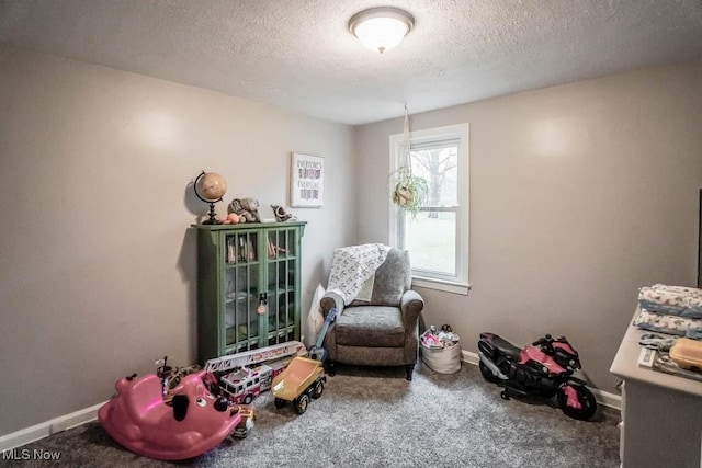 living area with carpet and a textured ceiling