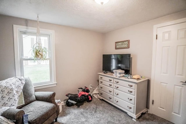 living area featuring carpet and a textured ceiling