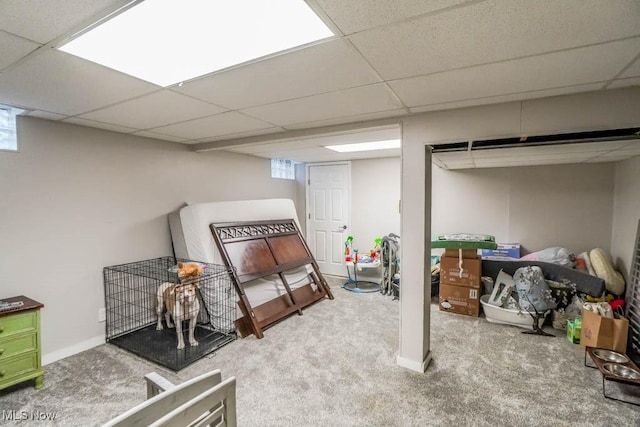 bedroom featuring carpet and a drop ceiling