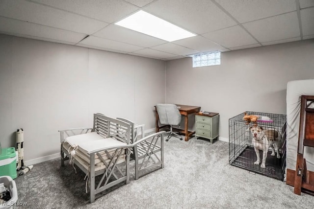 bedroom featuring carpet flooring and a drop ceiling