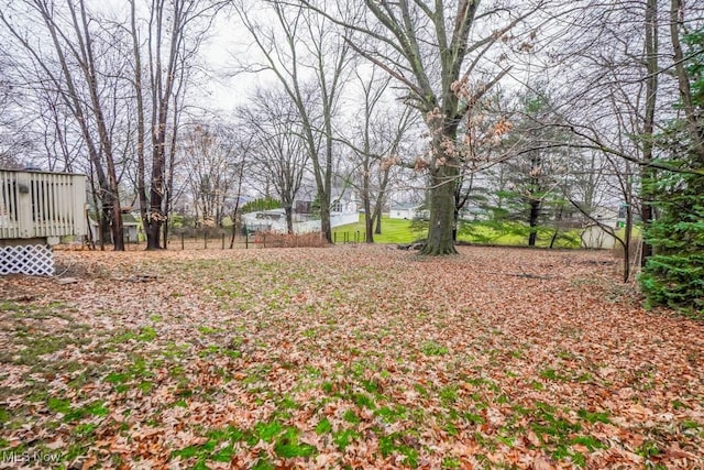 view of yard featuring a deck