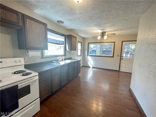 kitchen featuring white electric range oven, dark hardwood / wood-style floors, dark brown cabinets, and sink