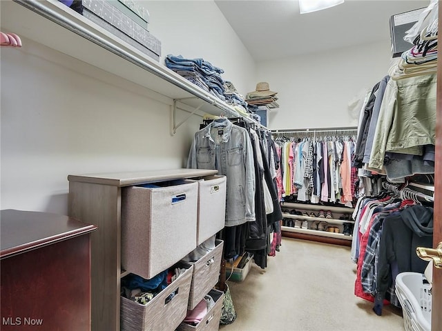 walk in closet featuring light colored carpet