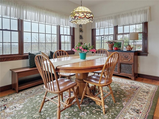 dining room with hardwood / wood-style flooring and a healthy amount of sunlight