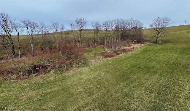 view of yard featuring a rural view