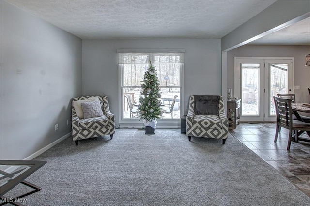 sitting room with carpet flooring and a textured ceiling