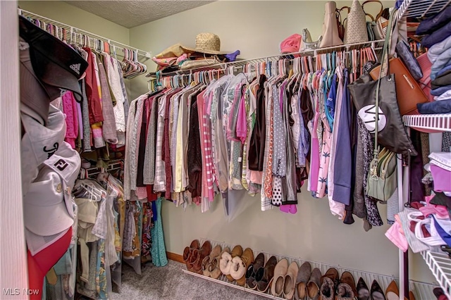 spacious closet with carpet flooring