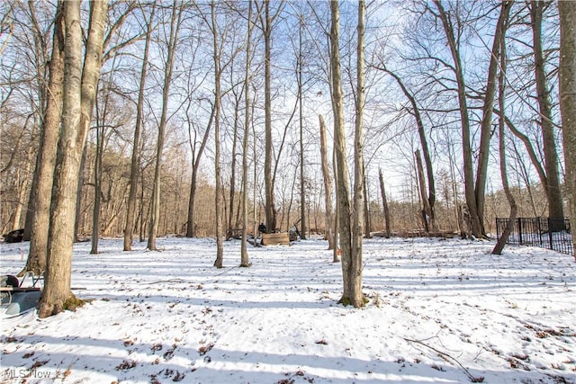 view of yard covered in snow