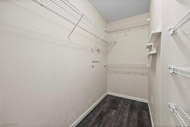 spacious closet featuring dark hardwood / wood-style flooring